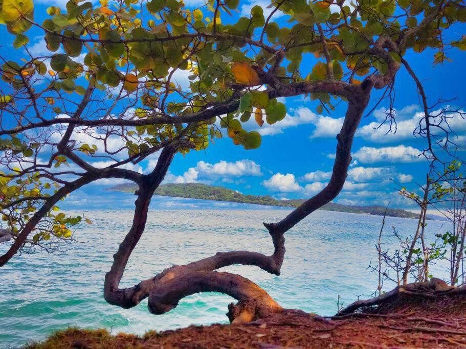הוילה Poetry Garden Bocas Town Colon Island מראה חיצוני תמונה