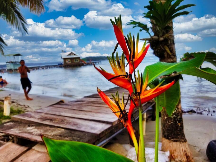 הוילה Poetry Garden Bocas Town Colon Island מראה חיצוני תמונה